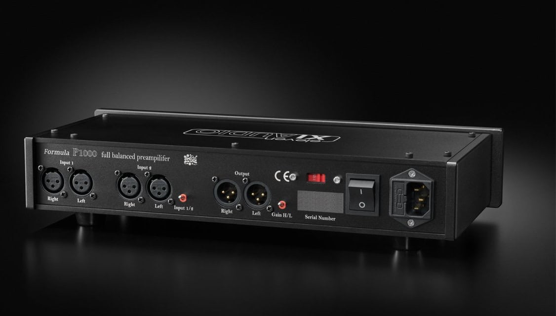 High-end audio equipment with XLR and RCA ports for audiophile setup.